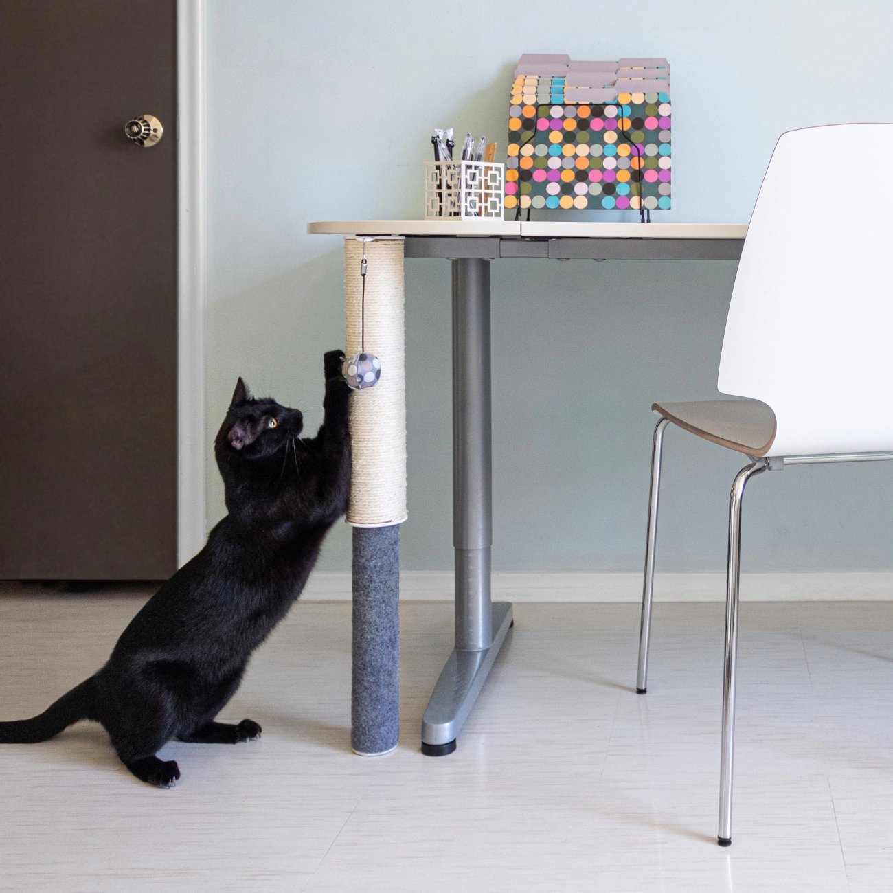 Tips om krabben aan de bank door katten te voorkomen