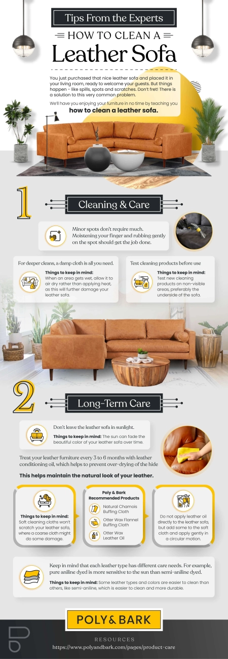 Leather Couch Cleaning Guide Steps